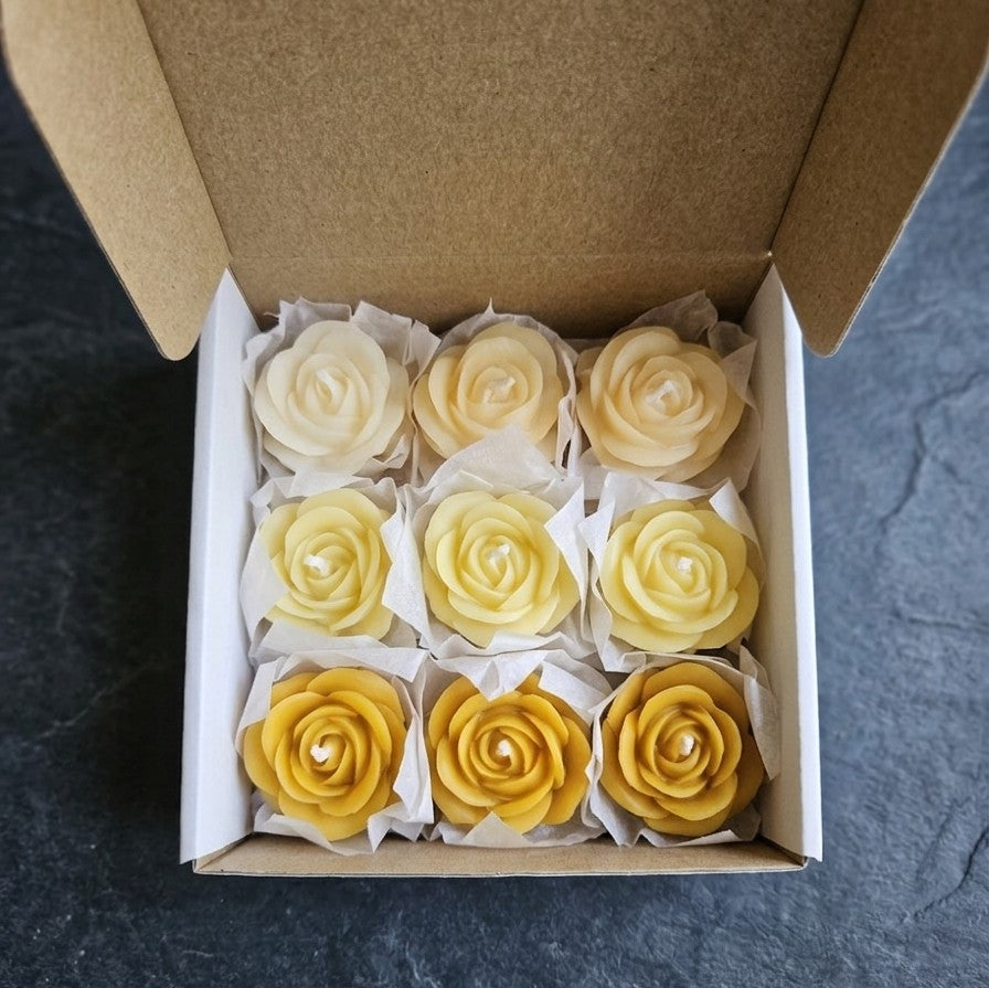 Wax melts for Diffuser | Orange & Cinnamon Fragrance | Gifting Box