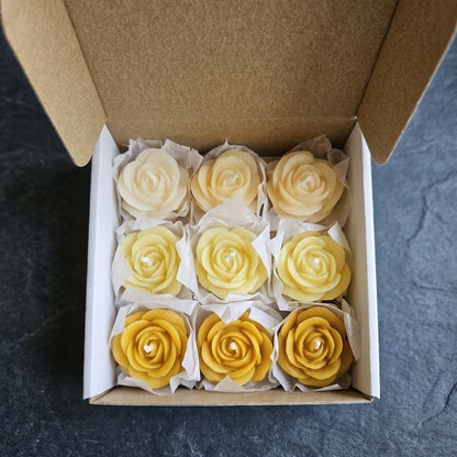 Wax melts for Diffuser | Orange & Cinnamon Fragrance | Gifting Box