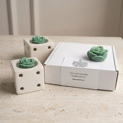 Wax melts for Diffuser | Lavender Fragrance | Gifting Box