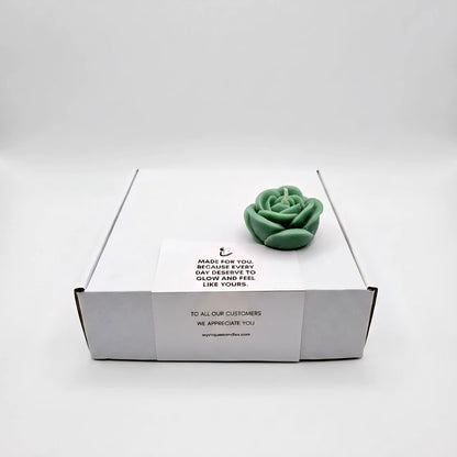 Combo | Diffuser + Wax Melts + Tealights