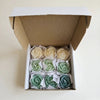 Combo | Diffuser + Wax Melts + Tealights
