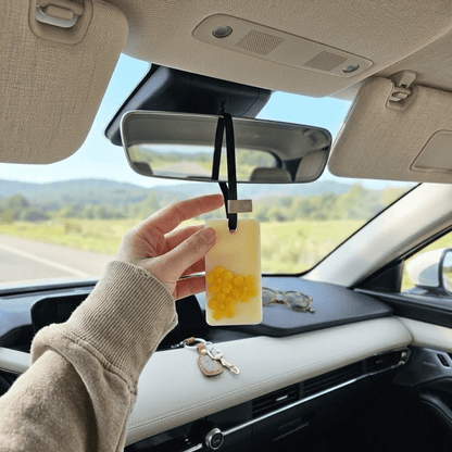 Wax Sachet Tablet | Natural Air Freshener | Pack of 3 - igniquecandles